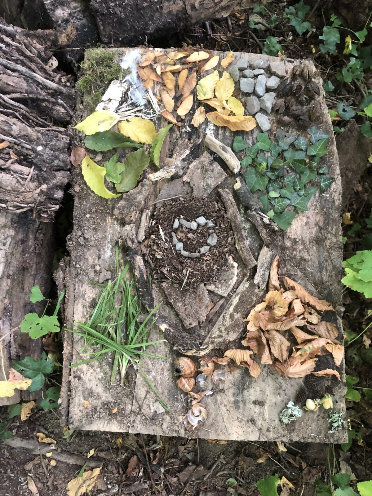 ✨ ART GROUPE : un renouveau en mouvement